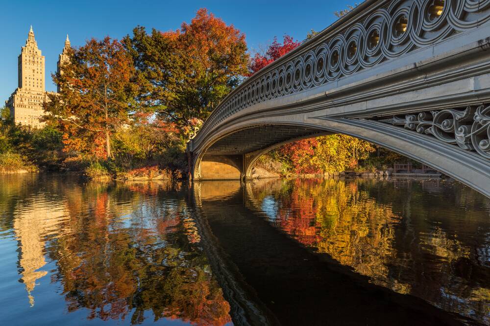 Central Park is resplendent in shades of ochre and yellow as the trees turn from their traditional green. Picture Shutterstock