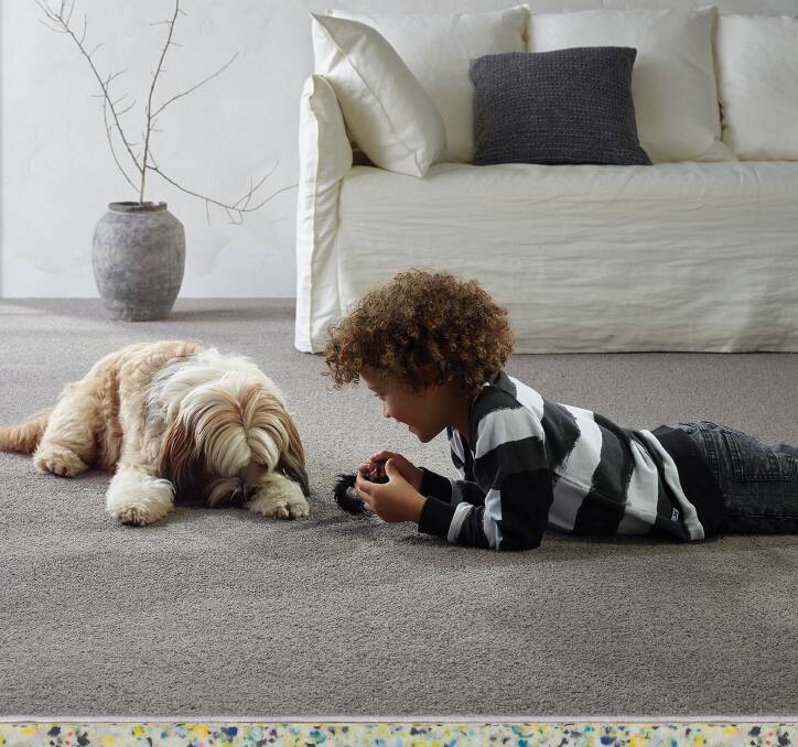 How to protect your home with pet friendly flooring