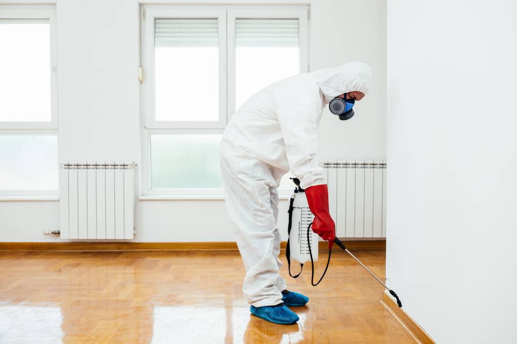 7 Signs your house needs professional pest control services