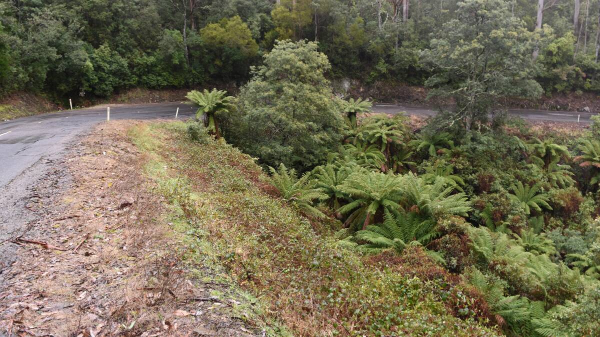 The Sideling on the Tasman Highway , where police recovered the torso of Mr Anderson-Brettner.