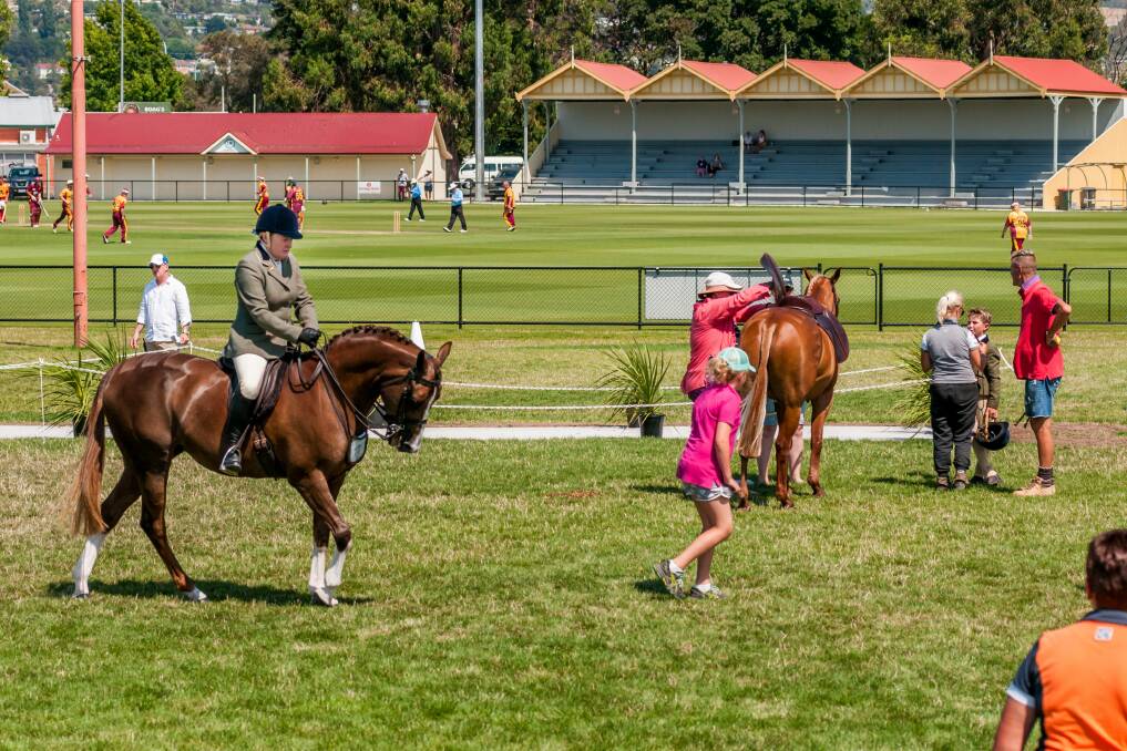 BLOCKADE: A contentiously planted concrete wicket on Invermay Park's equestrian field is roped off and lined with plants last month.