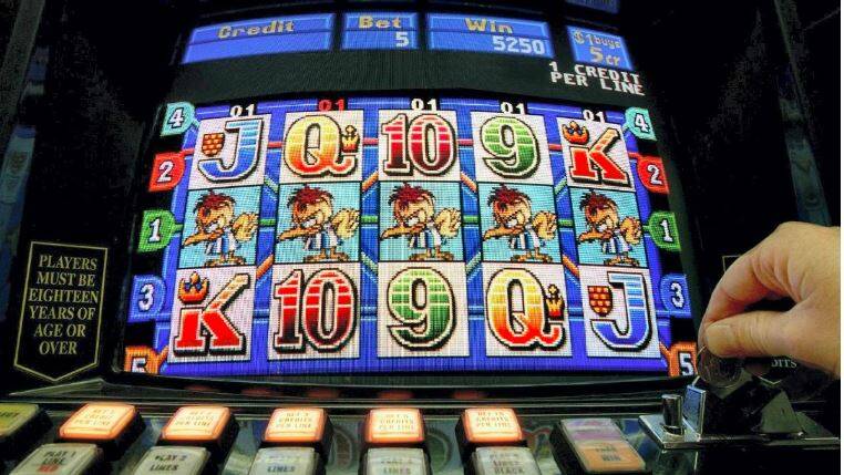 Pubs and clubs boss hits out at Webb over pokies