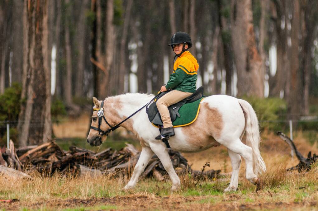 GIDDY UP: Billy WIlson, 8, of Carrick, with Pebbles at the Tasmanian Eventing Championships. Picture: Phillip Biggs 