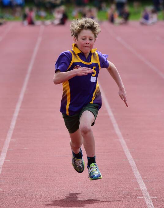 BIG STRIDES: St Anthony's Henry Routley runs down the St Leonards athletics track in the grade 3 boys 70m race. Pictures: Paul Scambler
