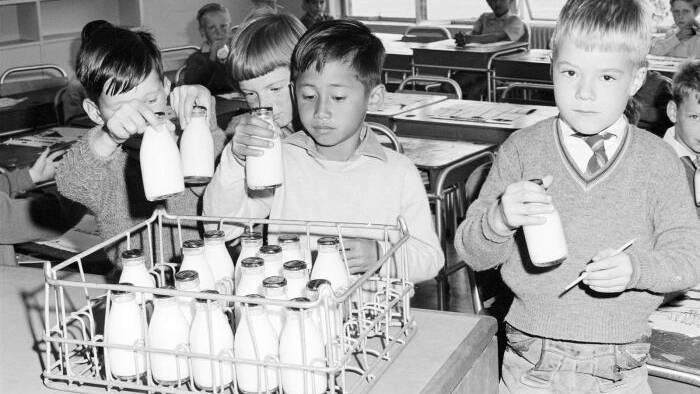 Milking it: School children taking free milk in the ACT in 1965. Pic: National Museum of Australia. 