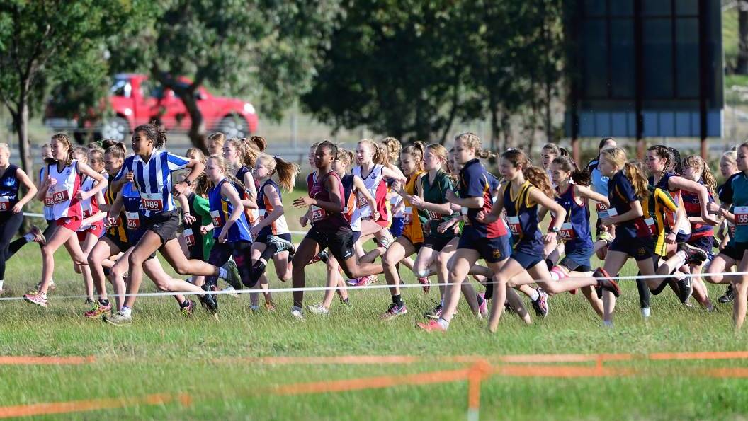 Tasmanian secondary cross country runners set off in a mass start at Symmons Plains. Picture: Phil Biggs