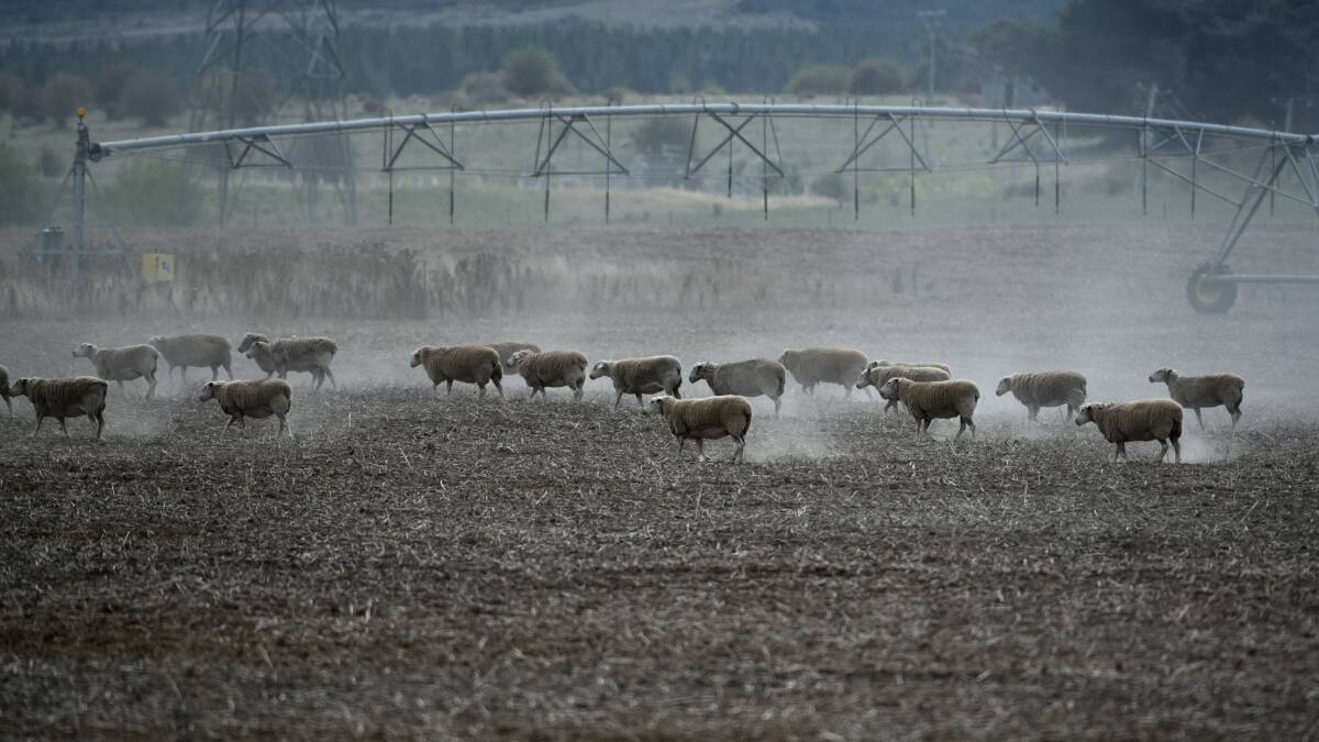 Letter writers share their thoughts on the drought in NSW, and the potential drought facing the East Coast of Tasmania.