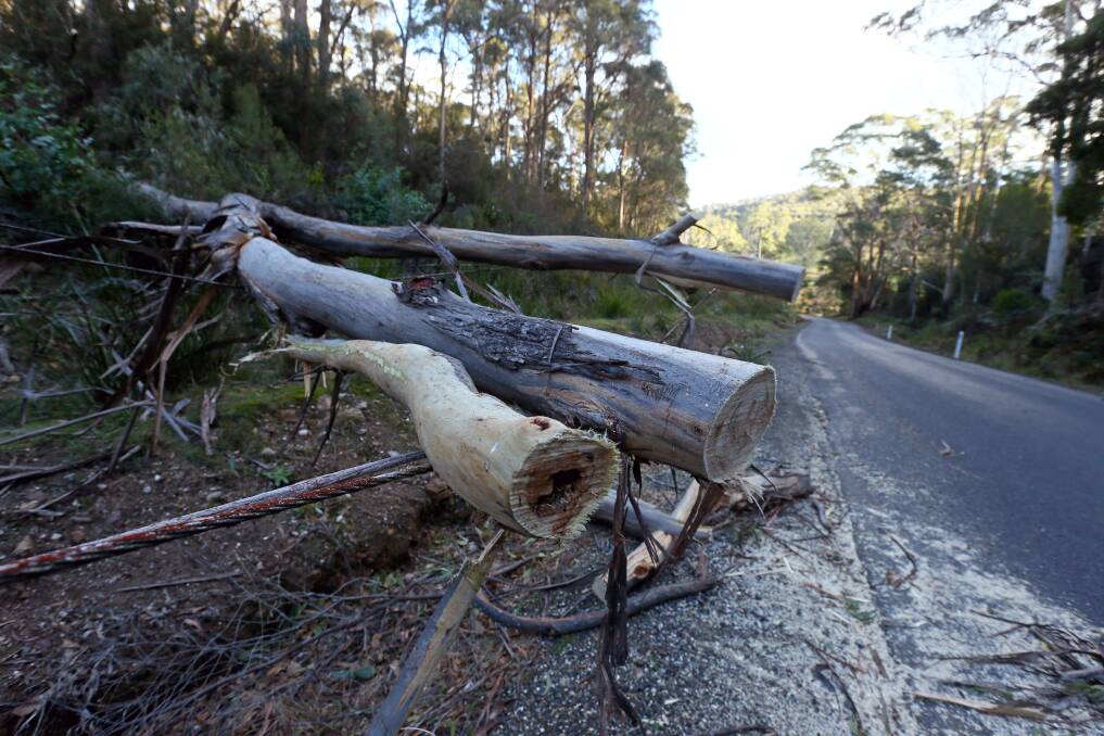 Trees down on roads at Kentish following a previous storm. Picture for illustrative purposes only. 