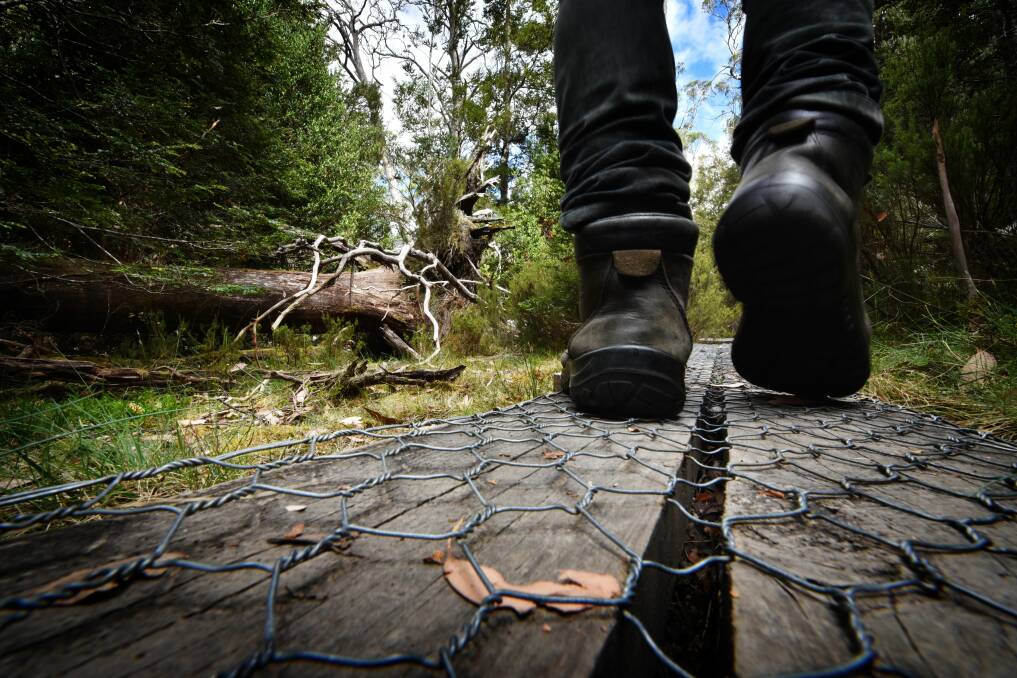 A hiker treads the boards in the Walls of Jerusalem National Park. Picture file