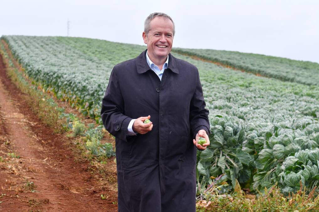 SPROUT: Bill Shorten visited a Forth vegetable farm to announce Labor's commitment to funding the third tranche of the Tasmanian irrigation scheme. Picture: Brodie Weeding