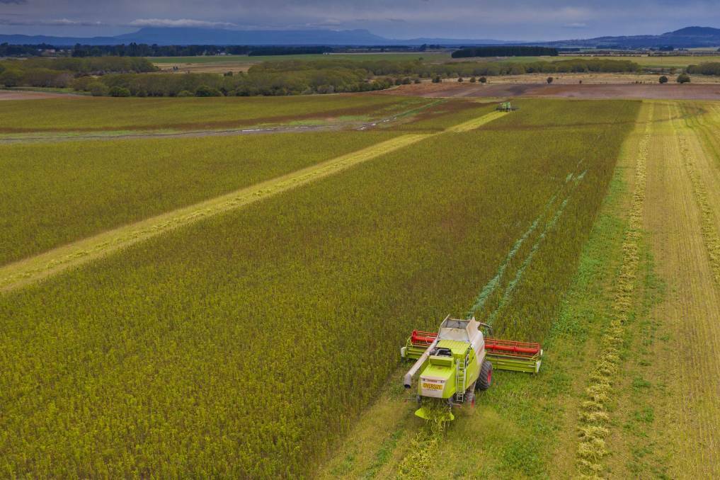 A mobile hemp processing unit is set to arrive in Tasmania, which will provide value-add opportunities for hemp farmers. The unit collects hemp stalks after the header collects the hemp heads for seed. 