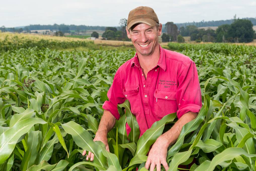 SUPPORT: Farmer Matt Young is receiving support from Seedlab Tasmania to grow his agribusiness popcorn product and market it interstate. Seedlab is holding information sessions for other startups to join. Picture: Phillip Biggs