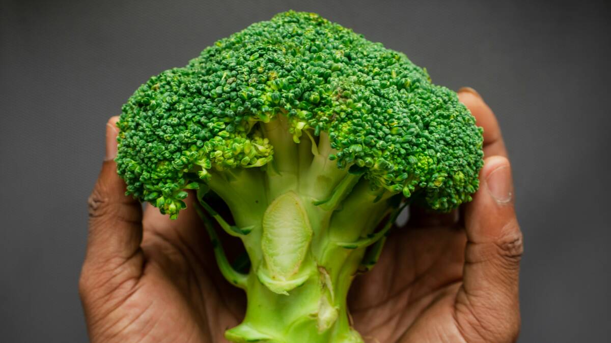 $9.50 a kilo for broccoli: Will food insecurity kill us?