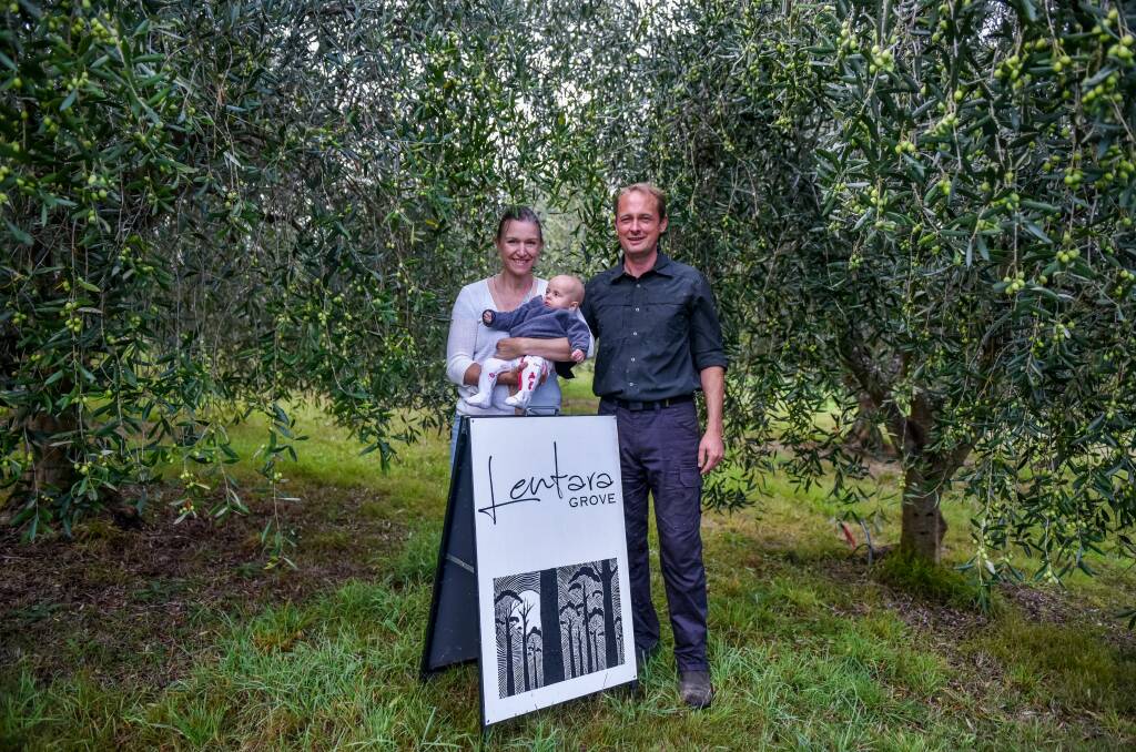 VALUE-ADDING: First-time farmers Sophie and Martin Grace are diversifying their business by offering tours of Lentara Grove in Exeter. Picture: Neil Richardson