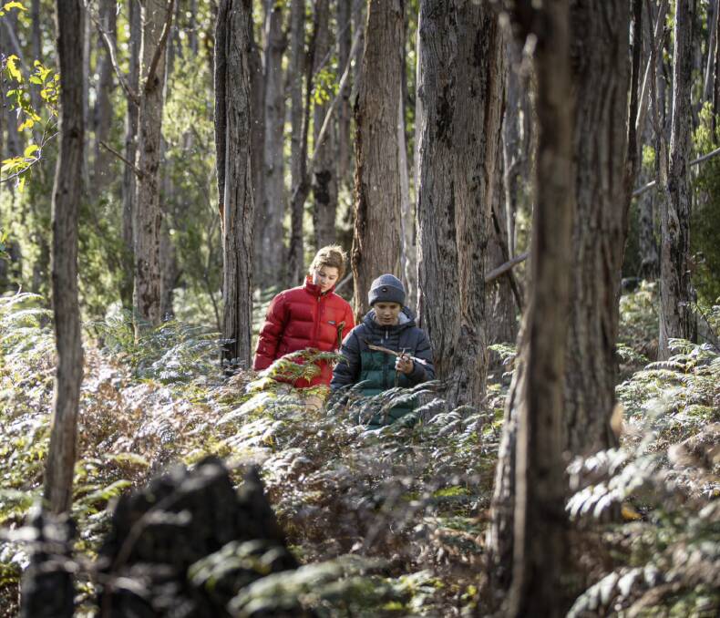 The Curious Climate Project will give Tasmanian students access to the knowledge of University of Tasmania climate experts from a variety of fields. 