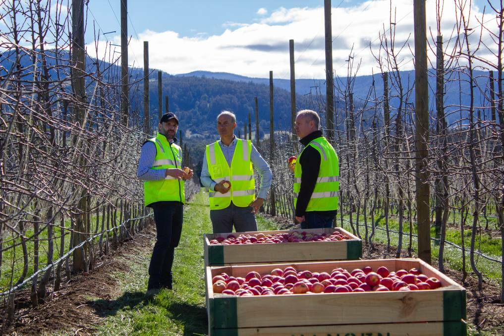 A new survey from the Tasmanian Food Cluster reveals that 1140 tonnes of food is lost on farm in the horticulture sector. More than 40 fruit and vegetable growers took part in the survey. 