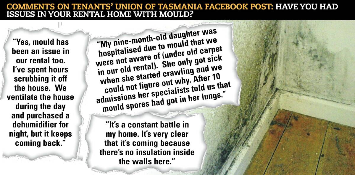 EXPERIENCE: Tasmanian renters shared their stories of mould on the Tenant's Union of Tasmania's Facebook page.
