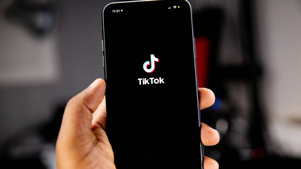 TikTok ban for state MPs and public service to be looked at