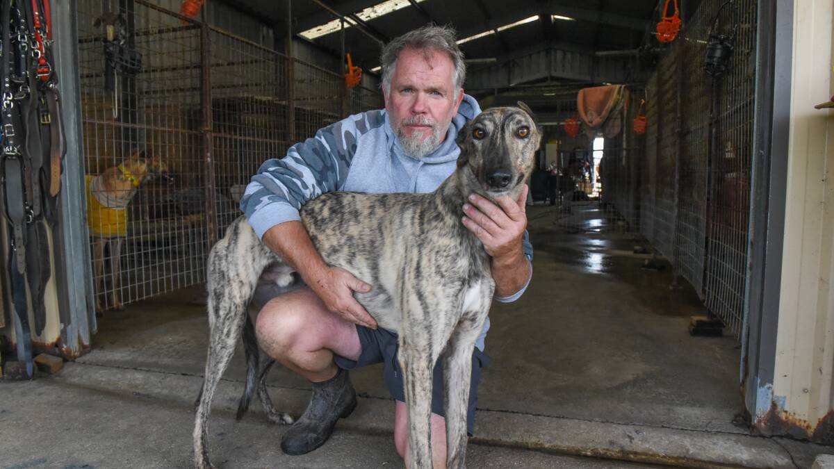 An investigation by the Office of Racing Integrity has cleared Anthony Bullock of animal welfare concerns. Picture: File