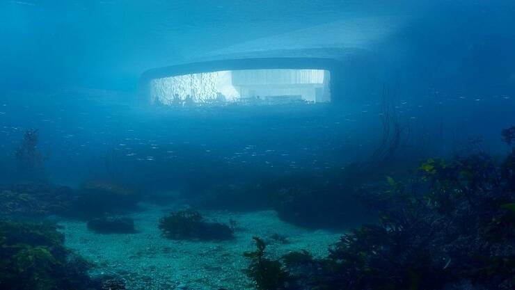 The window of the underwater restaurant Under in Norway.