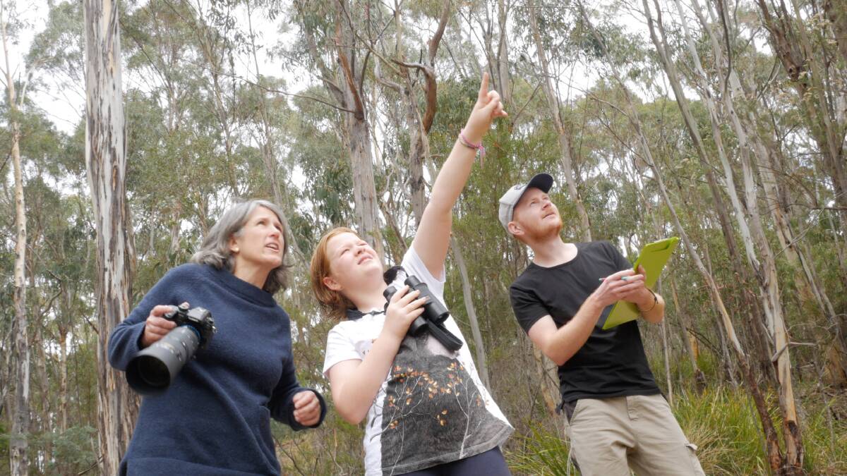 Where? Where? Wedgie co-ordinator Dr Clare Hawkins with citizen scientists looking for Tasmanian Wedge Tailed Eagles. Bookings for 2020 survey now open. Photo: Justin Smith 