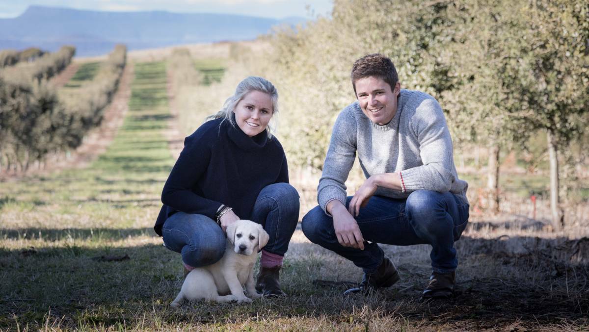Connect: The Terry siblings' steps to provenance success feature in an online resource kit that encourages Australian and Tasmanian producers to share their stories, and the who, where and what behind their products.