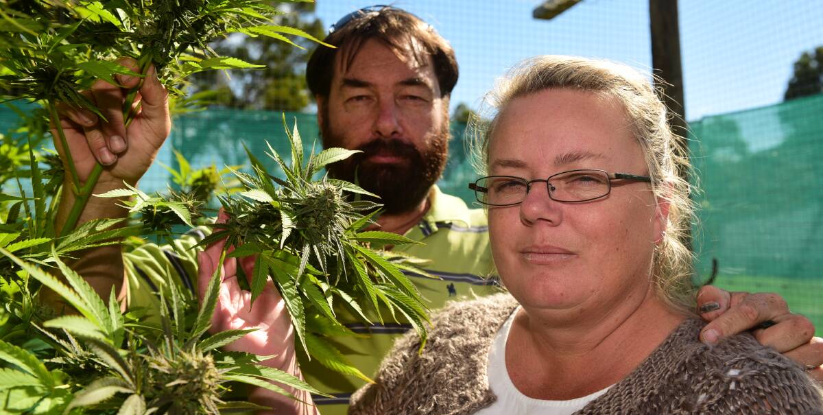 MORE TALK, MORE ACTION: Lyn Cleaver and Malcolm Amundsen want the government to consult with cannabis advocates. Picture: Paul Scambler.