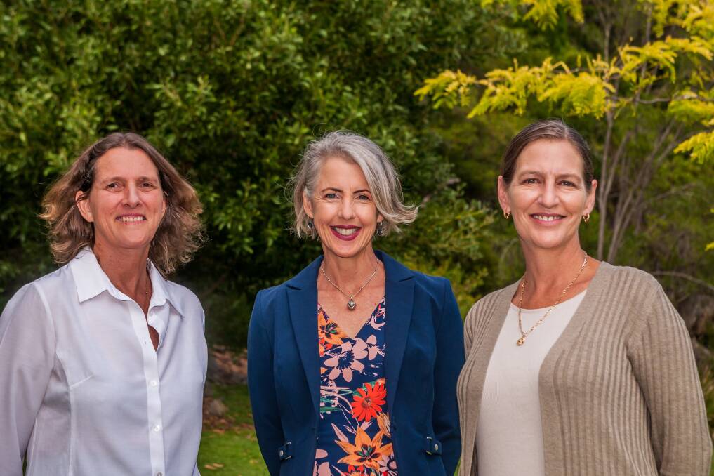 Liz Johnstone, Greens candidate for Lyons, with Rosalie Woodruff and Cassy O'Connor. Picture: Phillip Biggs
