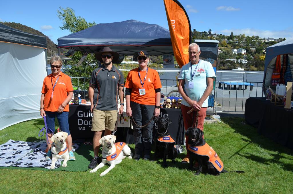 DOGS DAY OUT: Aniko Taylor, Sean Cromwell, Lindy Crack and Peter Bomford with Austin, Millie, Jonty and Paris.