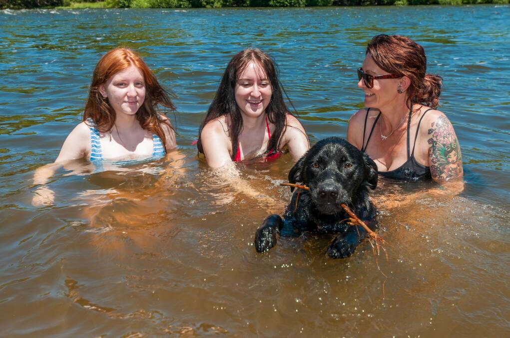 Alex Martin-Doolan, Kasey Martin-Doolan, Tammy Martin and Kevin the dog, of Glengarry, keep cool in the South Esk River at Hadspen. Picture: Phillip Biggs