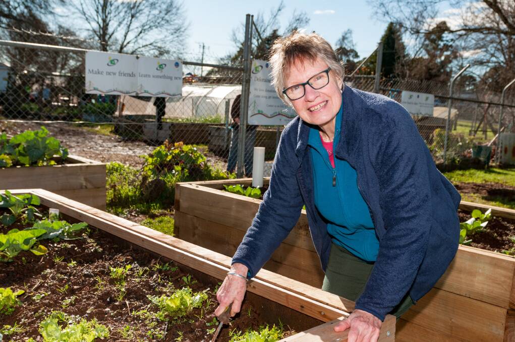 Volunteer Sue Tallon in the garden beds. Picture: Phillip Biggs