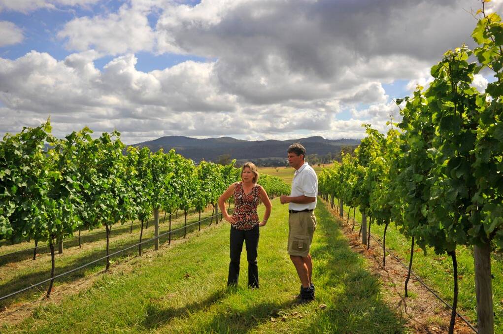 Sheena and Tim High at the vineyard. Picture: website