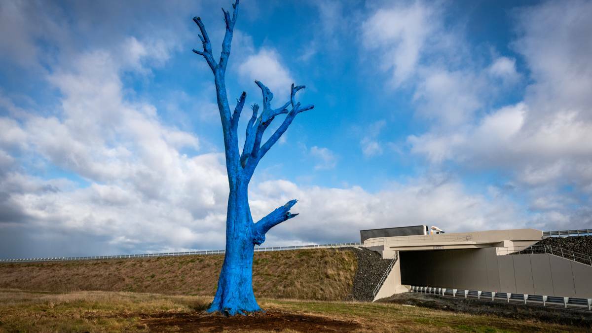 BLUE TREE: A dead tree trunk in Perth, painted as part of the national Blue Tree program aimed at promoting mental health discussions. Picture: Paul Scambler