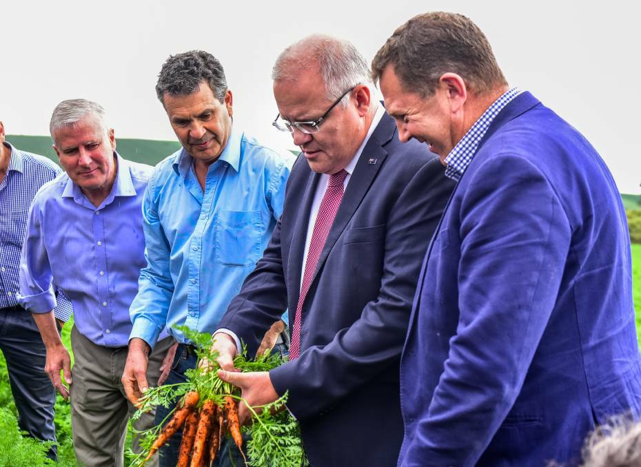 Forthside farmer Jim Ertler shows off his carrot crop to Prime Minister Scott Morrison in April, as Nationals leader Michael McCormack (left) and Liberal candidate Gavin Pearce admire the produce. Picture: Neil Richardson