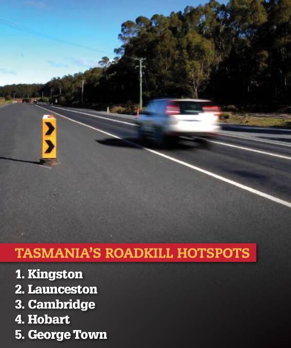 DANGER ZONES: AAMI has analysed more than 20,000 animal collision insurance claims from the past year, using the data to create lists of roadkill hotspots in each state and territory.