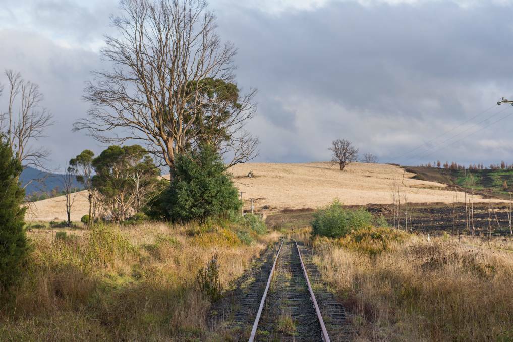 ON TRACK: The future use of the North-East Rail Corridor will be on the agenda once again on Tuesday, as Legislative Council hearings resume. Picture: Phillip Biggs