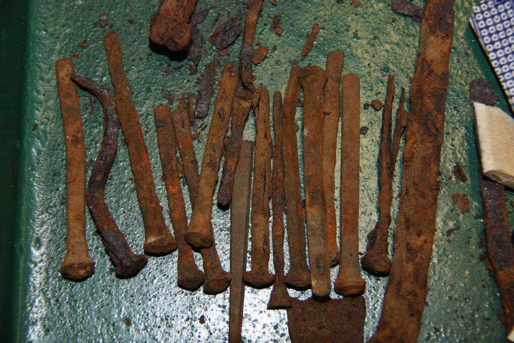 REMNANTS: Nails collected from the old Westbury probation station site, destroyed in 1848. Picture: Westbury Historical Society