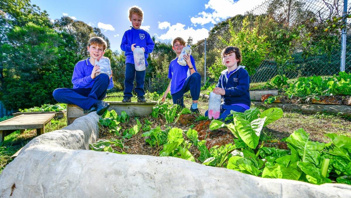 Year 5 student Oliver Courtney, kinder student Atreyu Kromkamp, Year 6 student Riley Ellery and kinder student Jonas Dobbs with their recycled eco-bricks in the school garden as West Launceston Primary gears up for World Environment Day. Picture: Scott Gelston