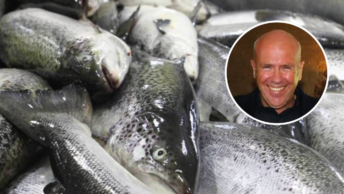 Acclaimed Tasmanian author Richard Flanagan has written a book about the state's salmon industry, and it's shaping to become an election issue as polling day looms.