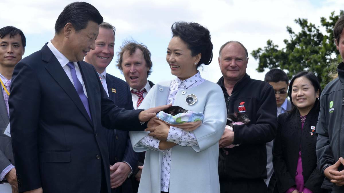 Premier Will Hodgman watches on as Chinese President Xi Jinping pats a Tasmanian devil held by his wife Madame Peng Liyuan in Hobart in 2014. Picture: Georgie Burgess