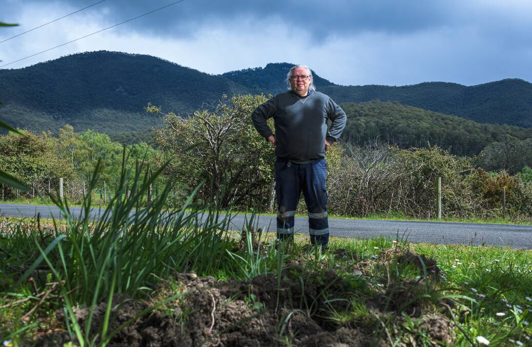 Unhappy: Gunns Plains resident George Wilkie-King has had to take measures to his property to keep the roaming pigs out. Picture: Simon Sturzaker,