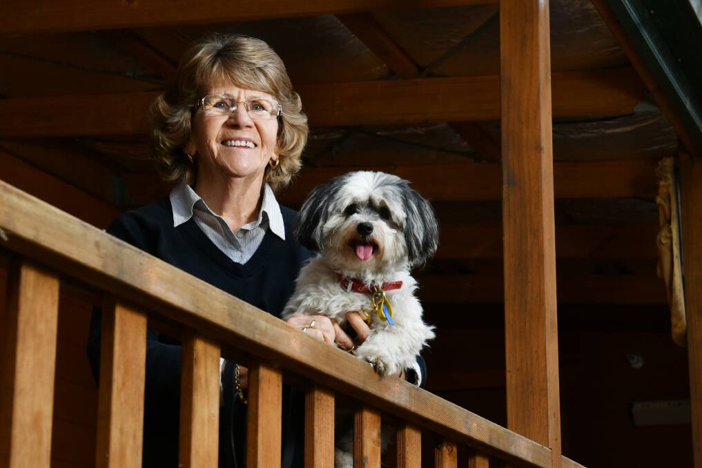 A Spreyton property has been purchased for the Hannah Foundation Inc. to open a canine sanctuary for orphaned pets.