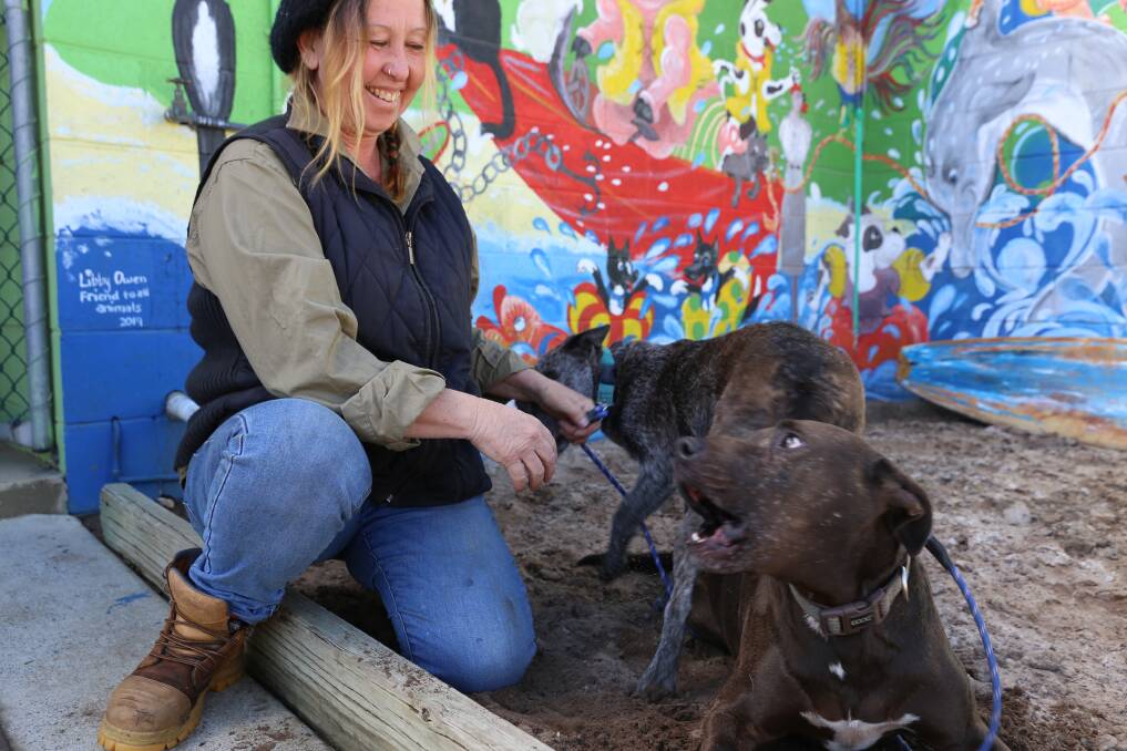 Being impounded is no longer a death sentence at this NSW pound