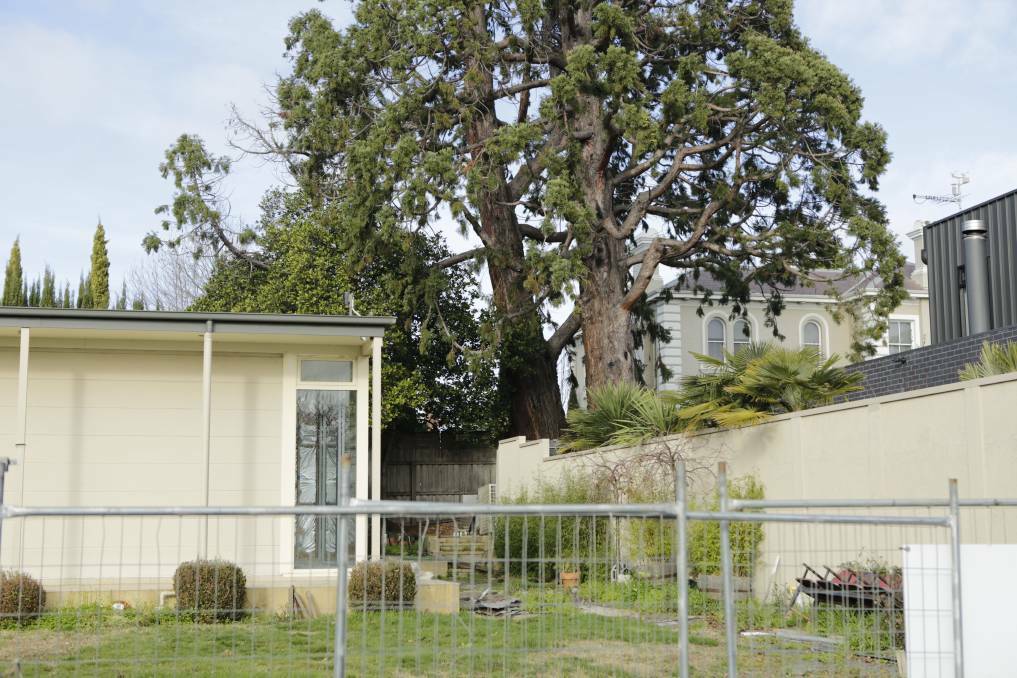 The historic trees on the property neighbouring the St Georges Square site. Picture: Matt Dennien