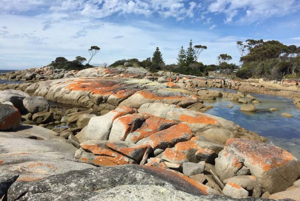 TO BE CONTINUED: The Bay of Fires on Tasmania's East Coast. With a 'double whammy' of conditions in the past 100 years, sea surfaces in the region are set to remain among the fastest-warming in the world. Picture: Stefan Boscia