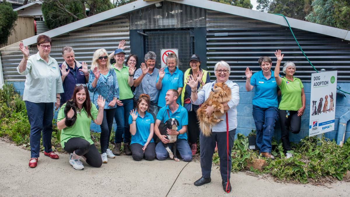 Farewell: RSPCA Animal Care Centre manager Lorraine Hamilton (front), with staff and volunteers at the Mowbray site - now operated by Dogs' Homes of Tasmania. Picture: Neil Richardson