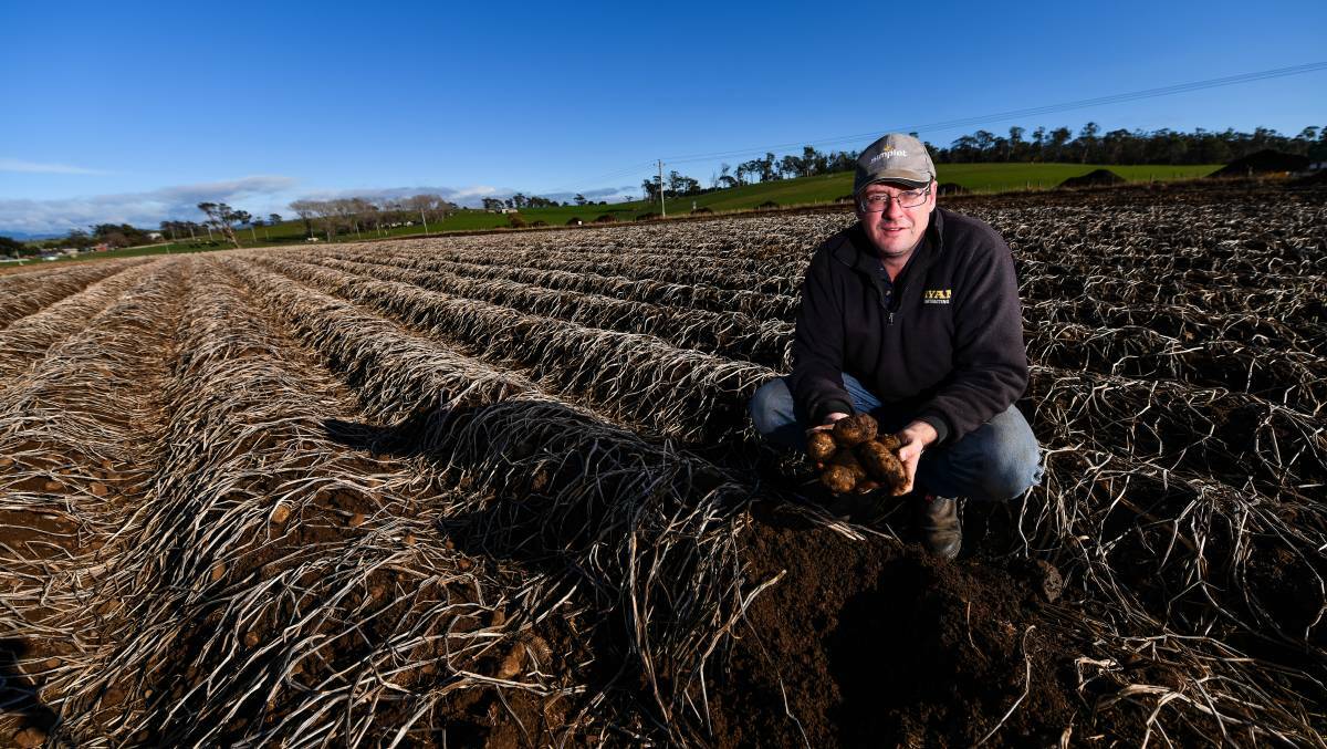  CHANGE: Thirlstane farmer Matt Ryan is calling on retailers to start educating consumers on the value of food. Picture: Scott Gelston