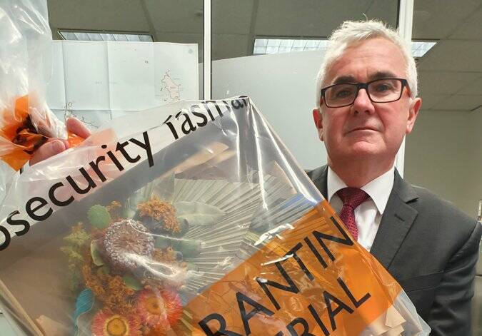 Independent Clark MHR Andrew Wilkie with a quarantined floral arrangement mailed to him by Facebook. Biosecurity officials are aware of two more sent to Tasmanian federal MPs. Picture: Supplied