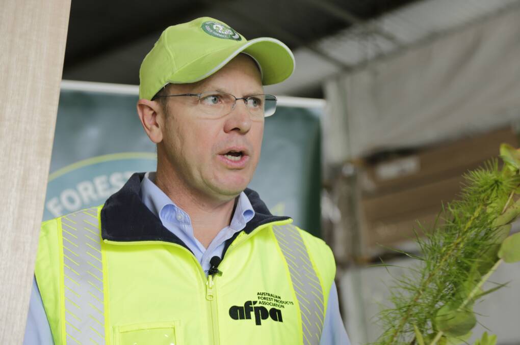Australian Forest Products Association chief executive Ross Hampton in Launceston on Wednesday. Picture: Matt Dennien