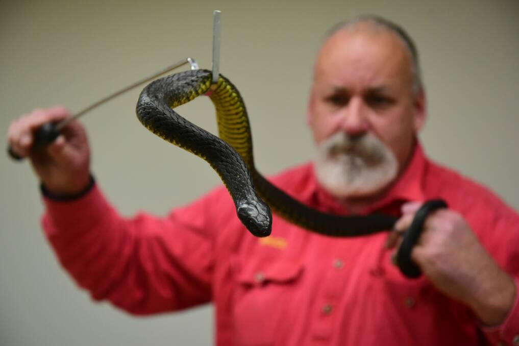 Reptile Rescue Tasmania's Bruce Press with "Boris" the metre long Island Tiger Snake. Picture: Paul Scambler
